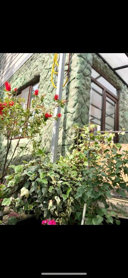 Ferienwohnung Papillon Chakvi Exterior foto